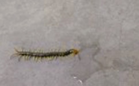 ���P(gu��n)����Ъ���Z