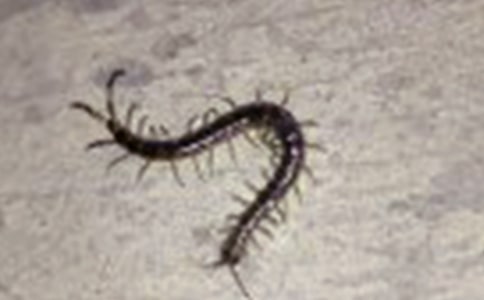 ����w����(y��u)��̰��������·������˼