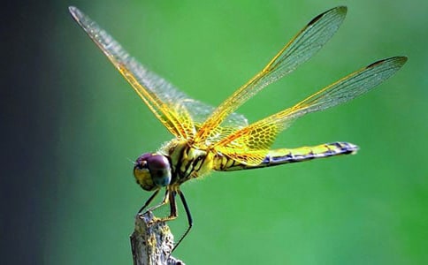 �а����g(sh��)�����ѽ̰������x10ƪ��