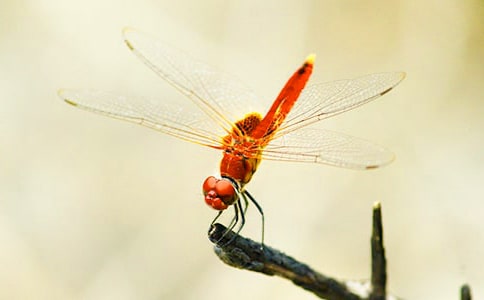 �P(gu��n)�����ѵ�����