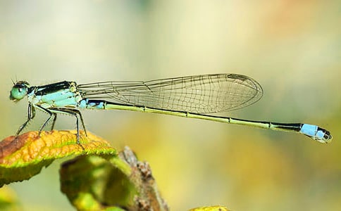 �P(gu��n)�����ѵ�����(���T)