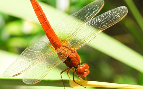 �а����g(sh��)С���ѽ̰�