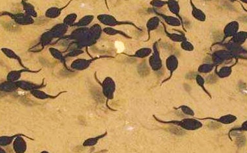 �P(gu��n)����������