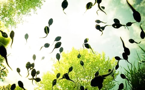 С����а����g�̰�