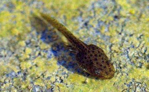 С������g(sh��)�̰�