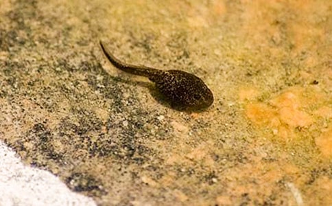 С�����g(sh��)С����ҋ����̰�(5ƪ)