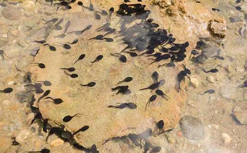 С�����g(sh��)�̰�С���