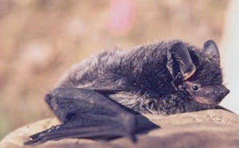 ����Q������