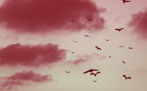 ���_(d��)������