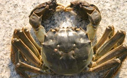 С�з����ӛ����