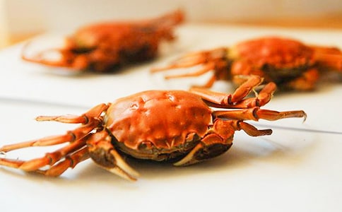 [��]��з����15ƪ