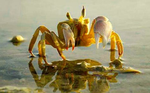 ��С�з��С�����g(sh��)�̰�