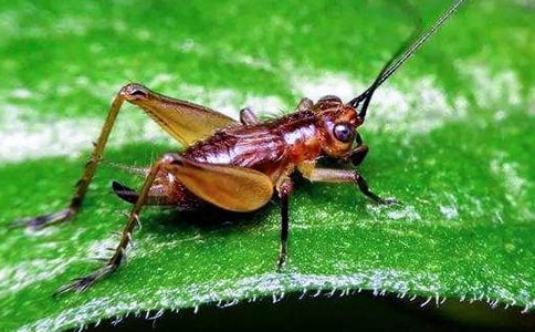 ��z�z���¼�����