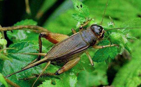 �^��������