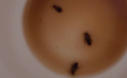 �¶����-��������700��