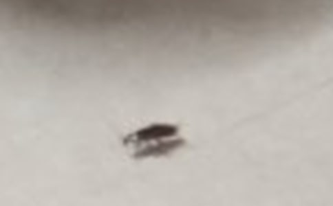 ���P(gu��n)�������300��4ƪ