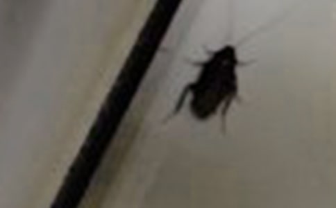 �P(gu��n)����������