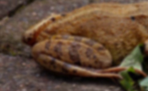 ��ܺ���Խ����