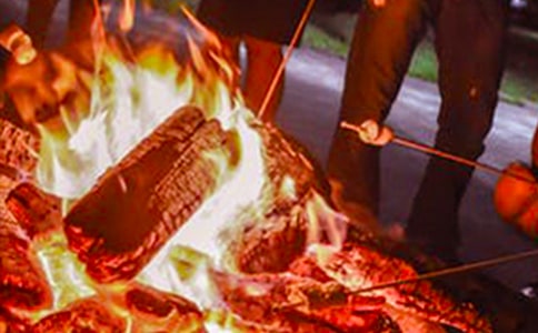 篝火晚會學(xué)生作文(7篇)