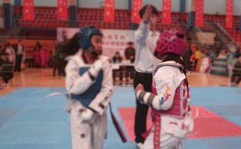 難忘的跆拳道比賽作文600字(通用16篇)