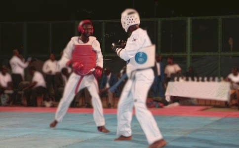 讓你徹底了解跆拳道作文