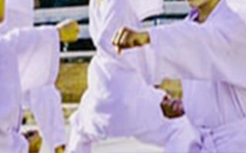 學(xué)習(xí)跆拳道作文