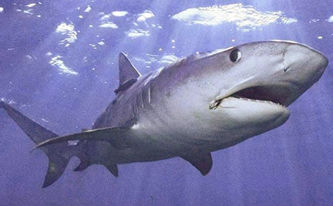 �����������~��