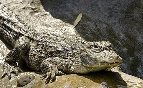 �{�~�����а��w���̰�