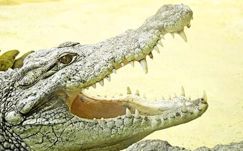 ��(hu��)���b�Ĵ��{�~����