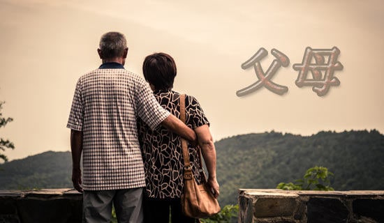 給父母的一封信作文必備15篇