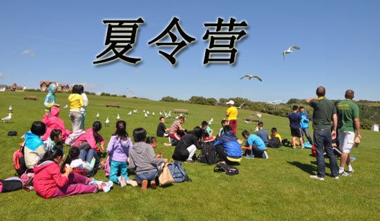 【推薦】夏令營活動方案集錦6篇