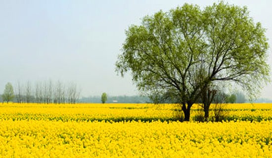 2022С�W�����λ�ӷ���15ƪ